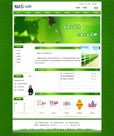 清新绿色企业公司网站模版